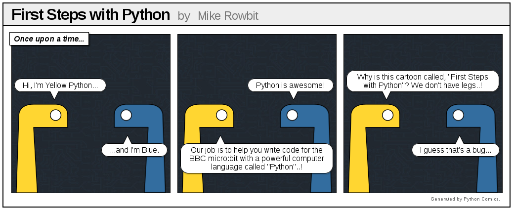 first steps with python